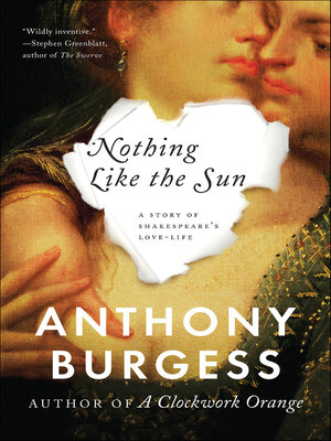 cover image of Nothing Like the Sun